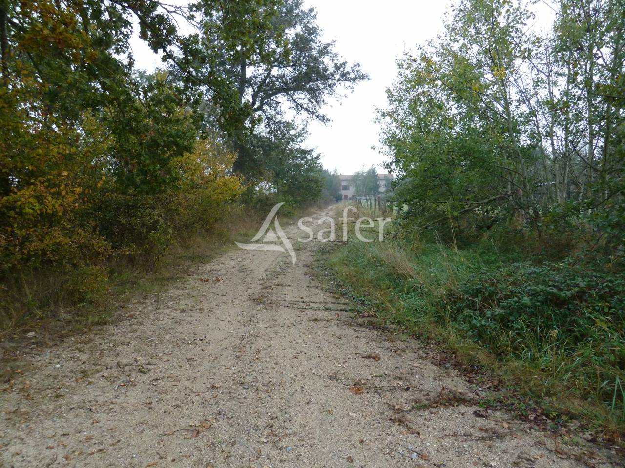 Hippisch vastgoed Koop Loire