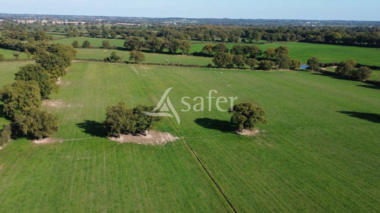 Bos exploitatie Koop Deux-Sèvres