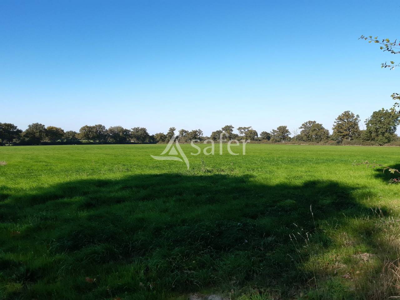 Bos exploitatie Koop Deux-Sèvres