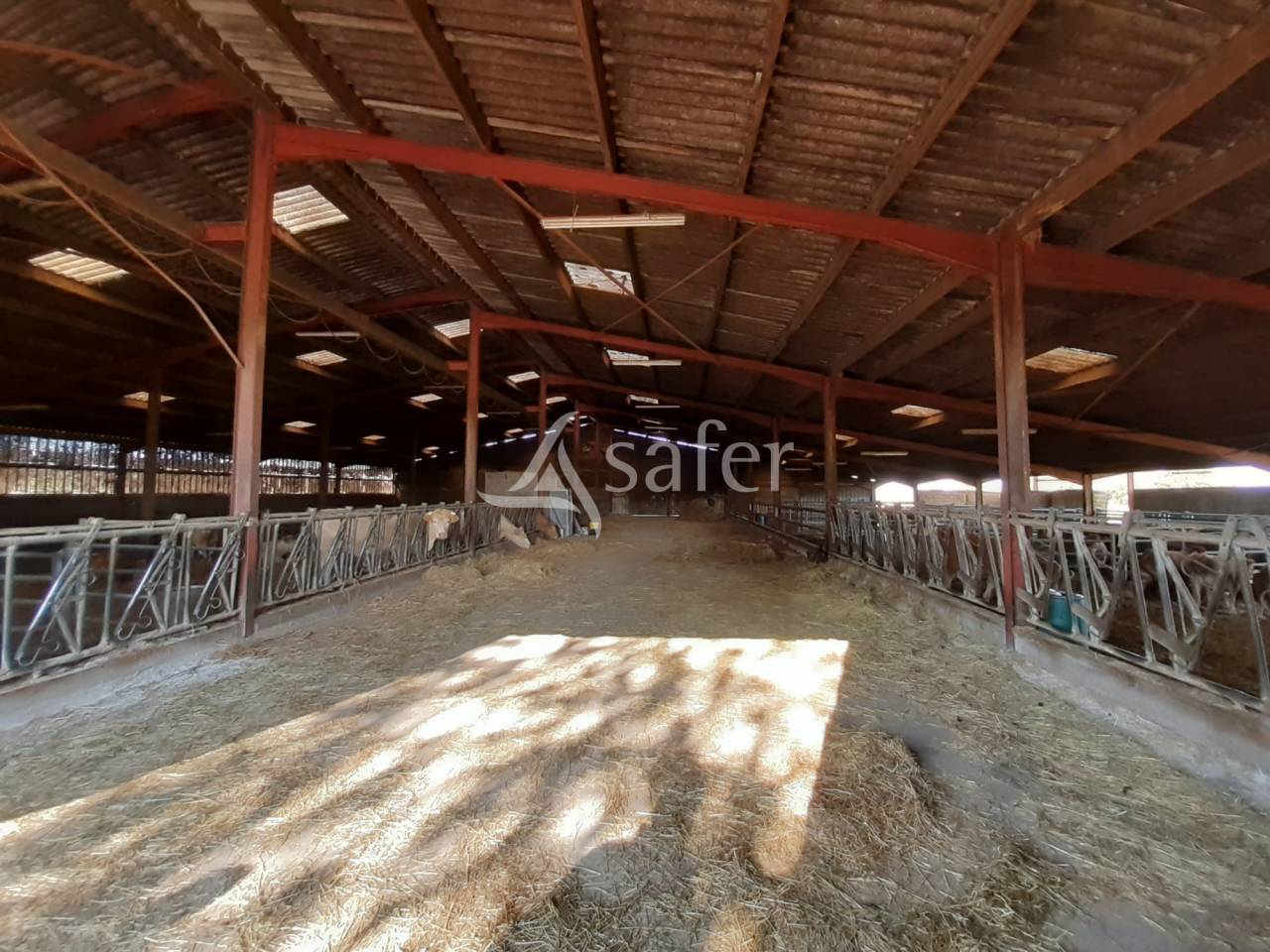 Bos exploitatie Koop Deux-Sèvres