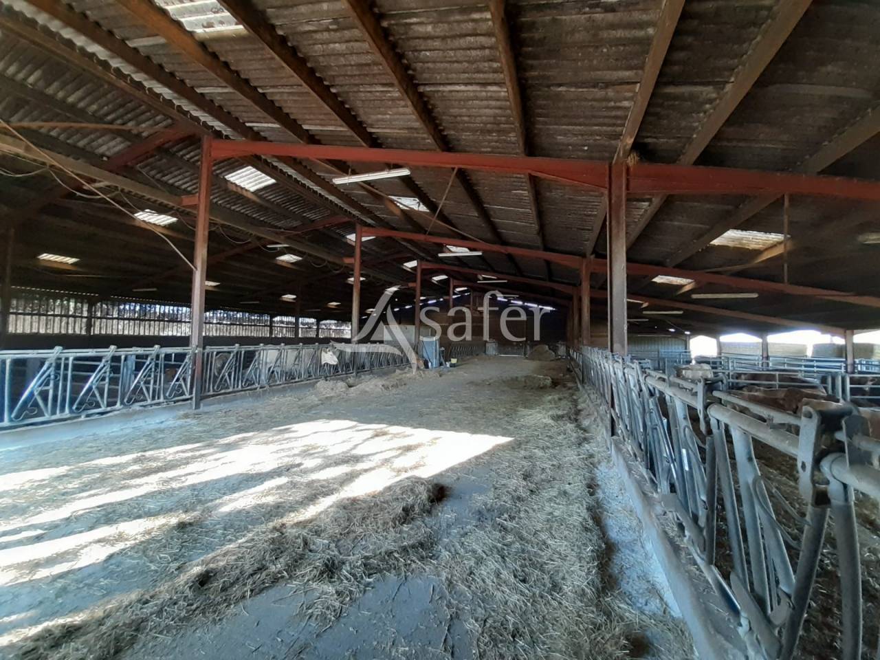 Bos exploitatie Koop Deux-Sèvres