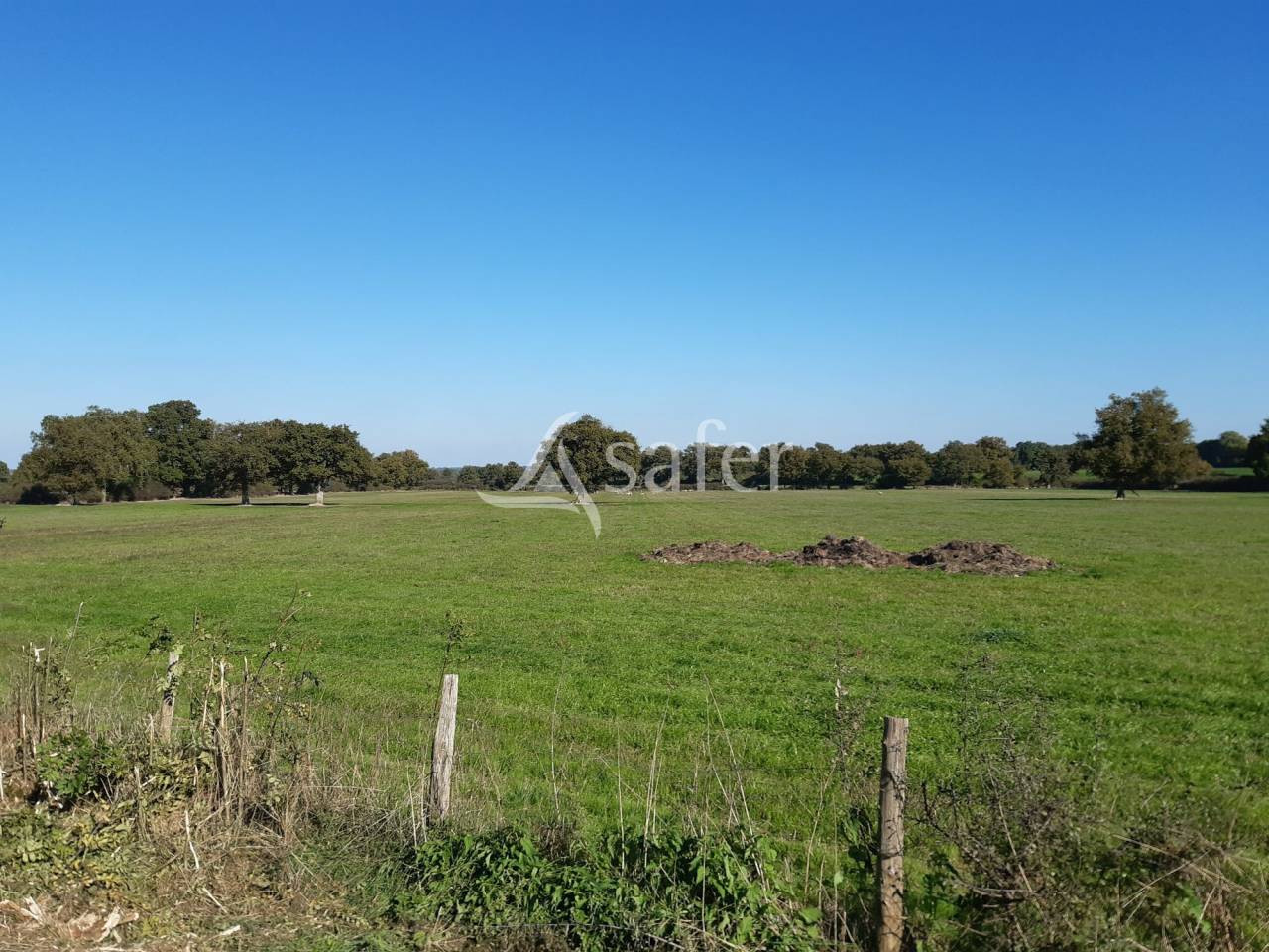 Bos exploitatie Koop Deux-Sèvres