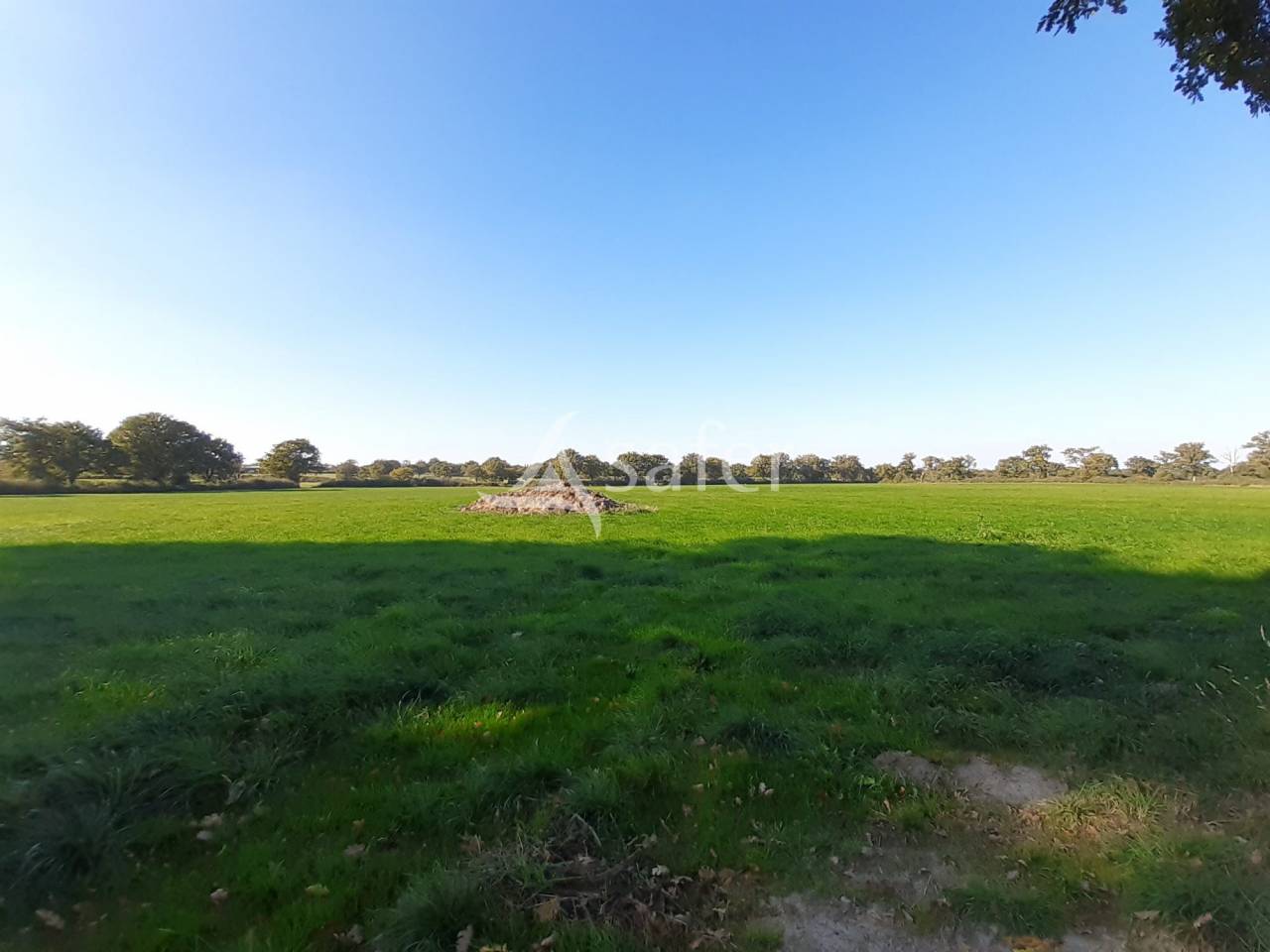 Bos exploitatie Koop Deux-Sèvres