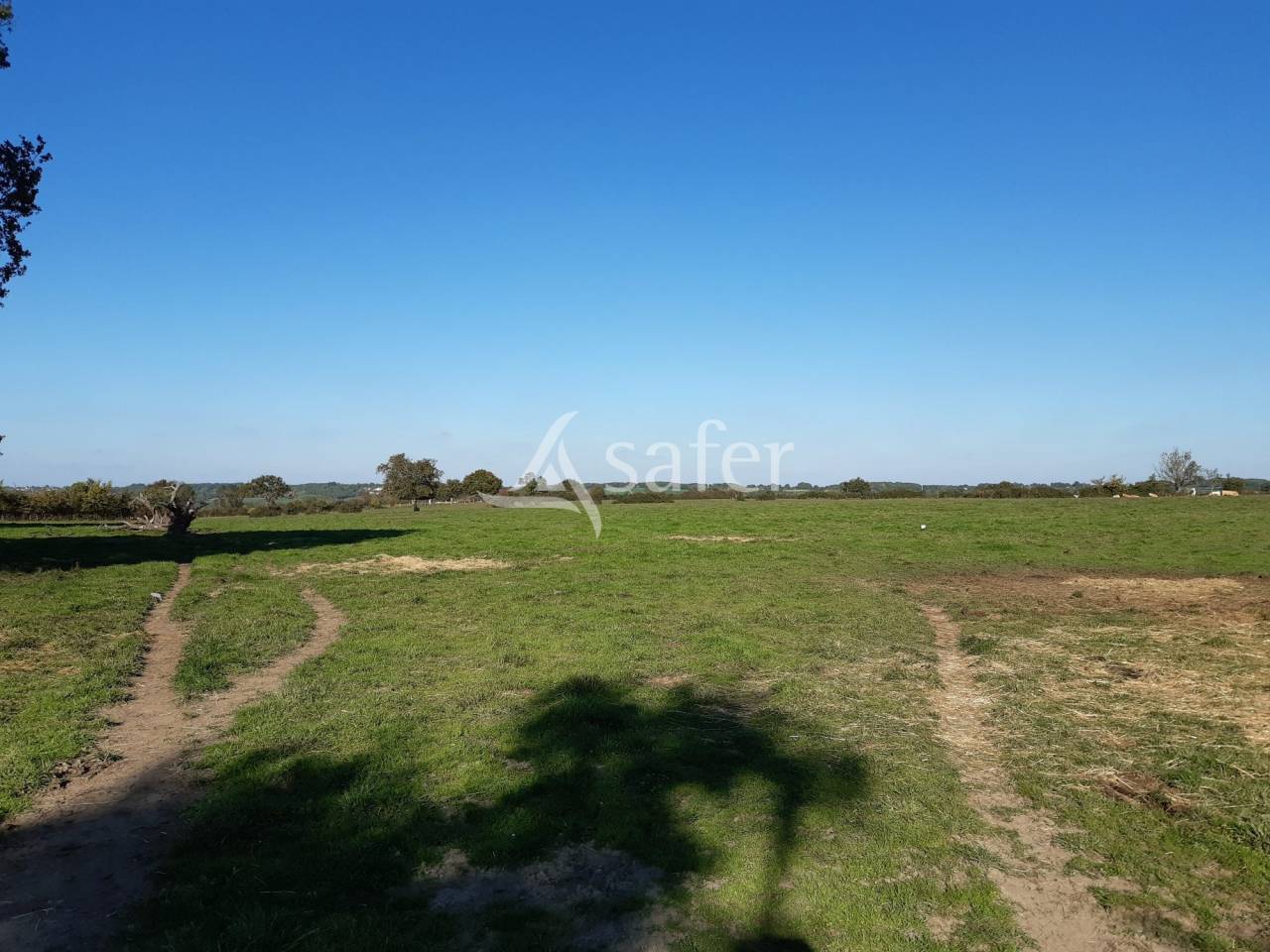 Bos exploitatie Koop Deux-Sèvres