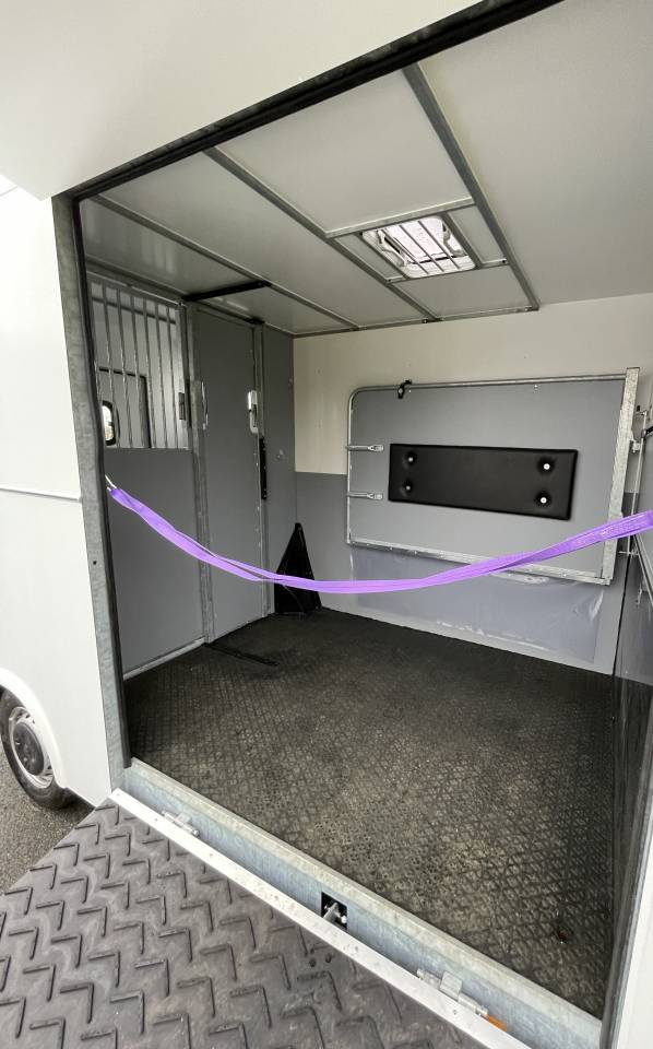 Kleine paardenvrachtwagen (B rijbewijs) AP Petit Peugeot Boxer L4   2020 Nieuw