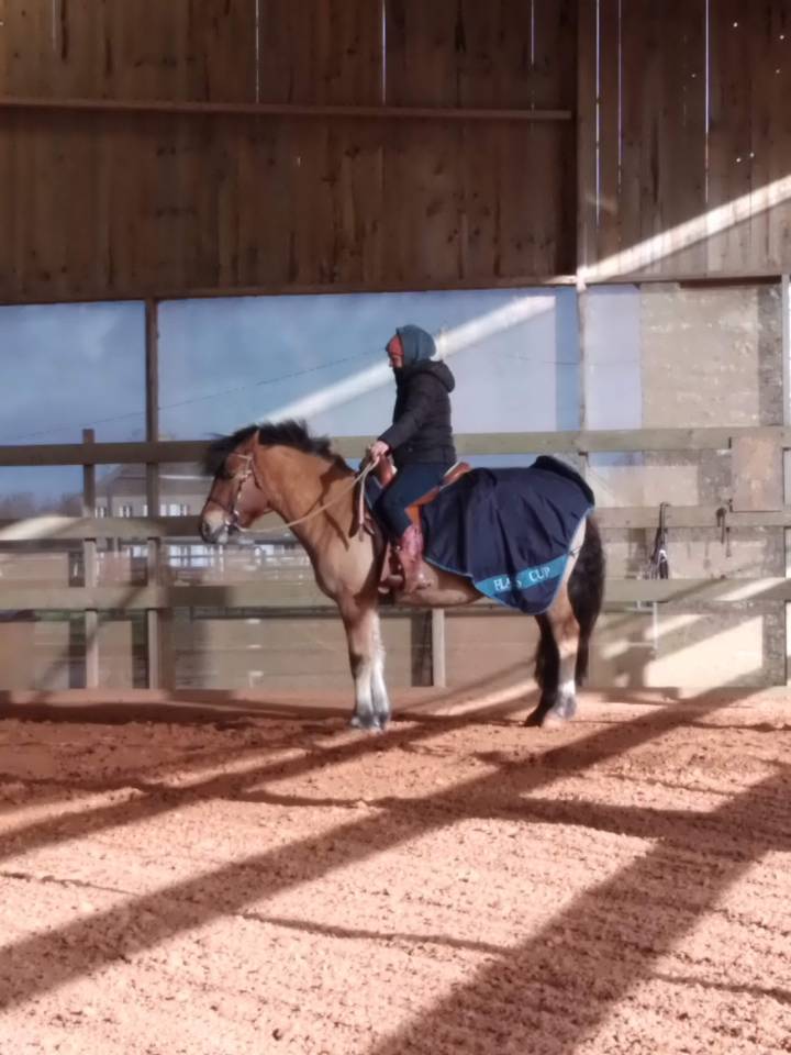 Ruin Ras onbekend Te koop 2020 Isabel