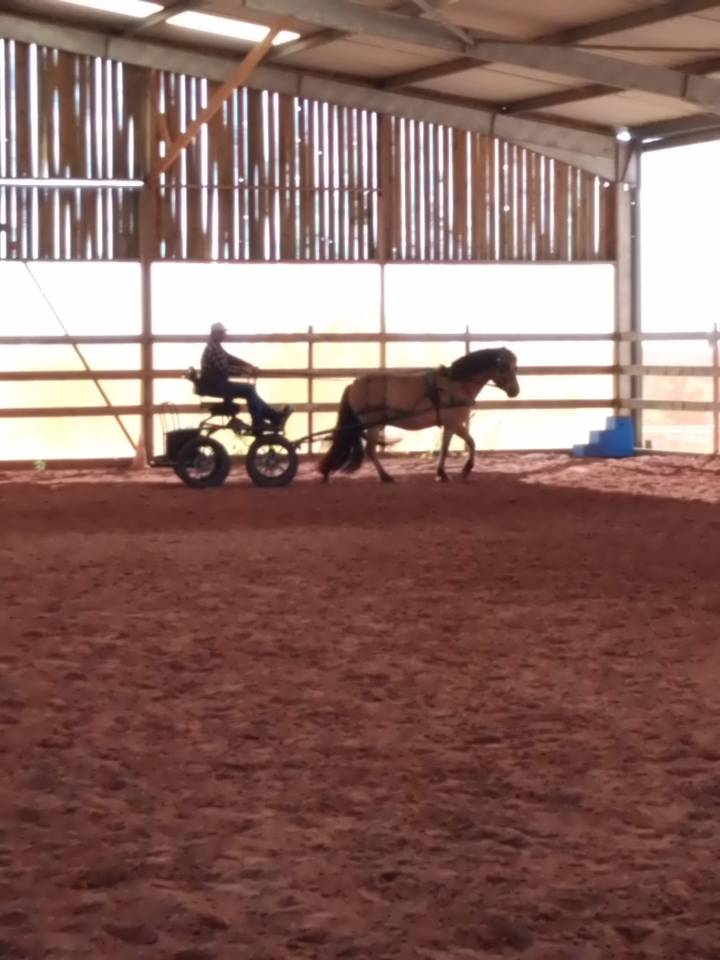 Ruin Ras onbekend Te koop 2020 Isabel