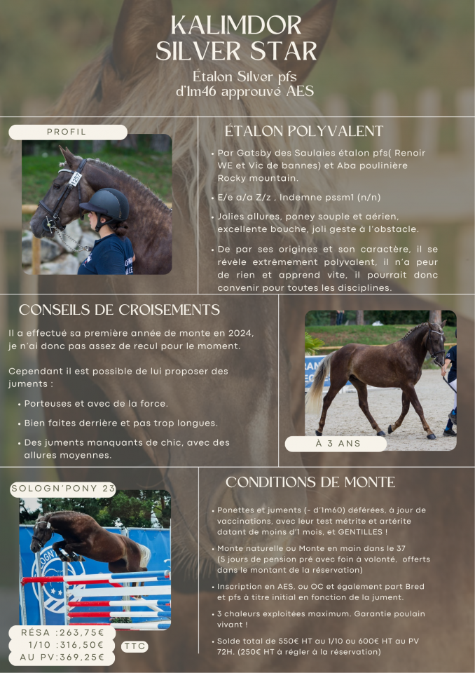 Kalimdor silver star - Franse rijpony PFS 2020 ,  Gatsby des saulaies