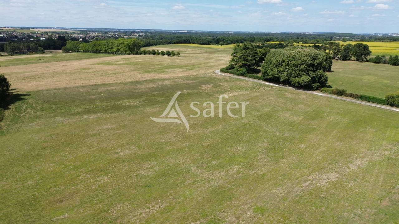 Landbouw bedrijf Koop Vienne