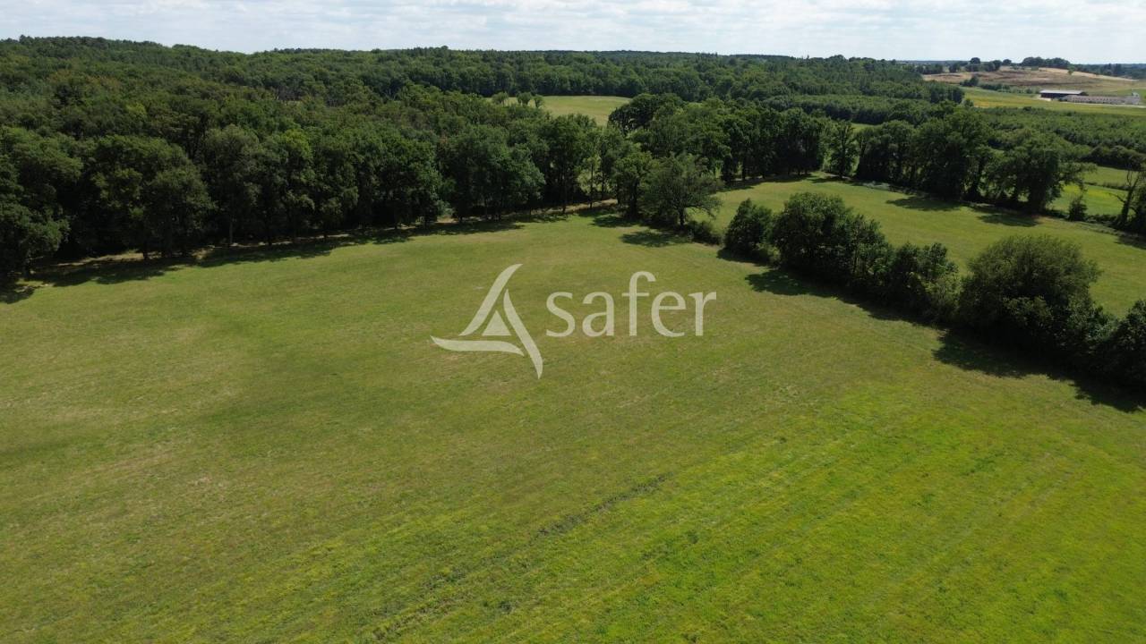 Landbouw bedrijf Koop Vienne