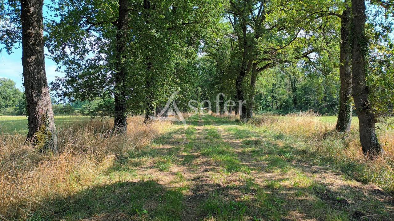 Landbouw bedrijf Koop Vienne