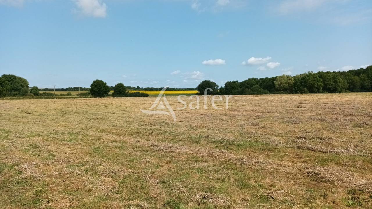 Landbouw bedrijf Koop Vienne