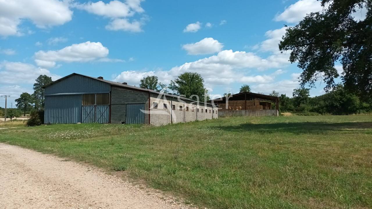 Landbouw bedrijf Koop Vienne