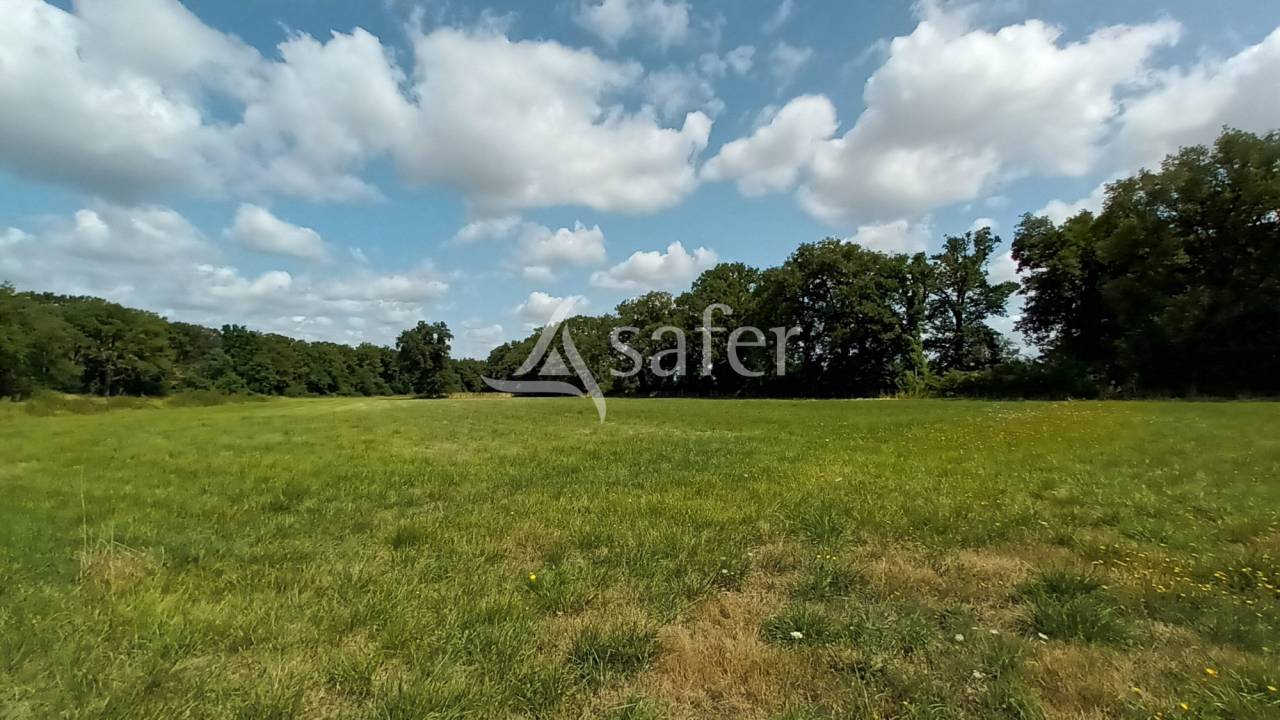 Landbouw bedrijf Koop Vienne