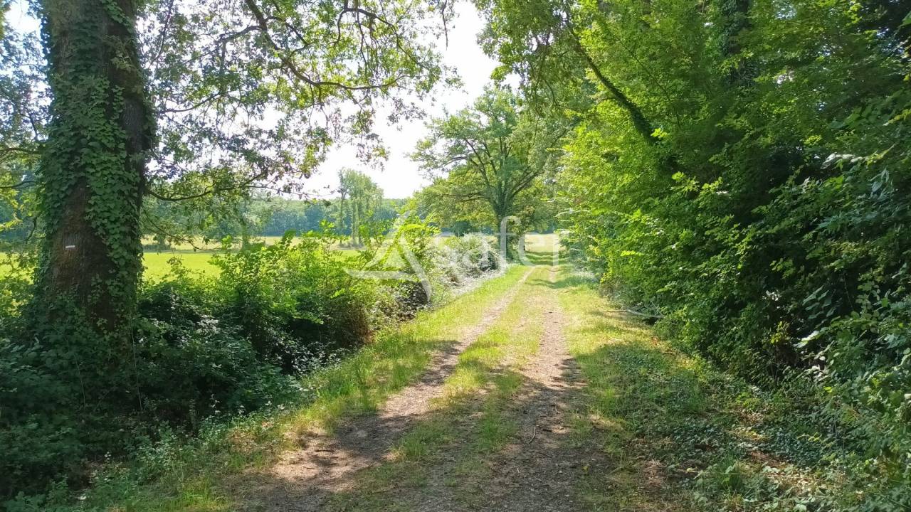 Landbouw bedrijf Koop Vienne