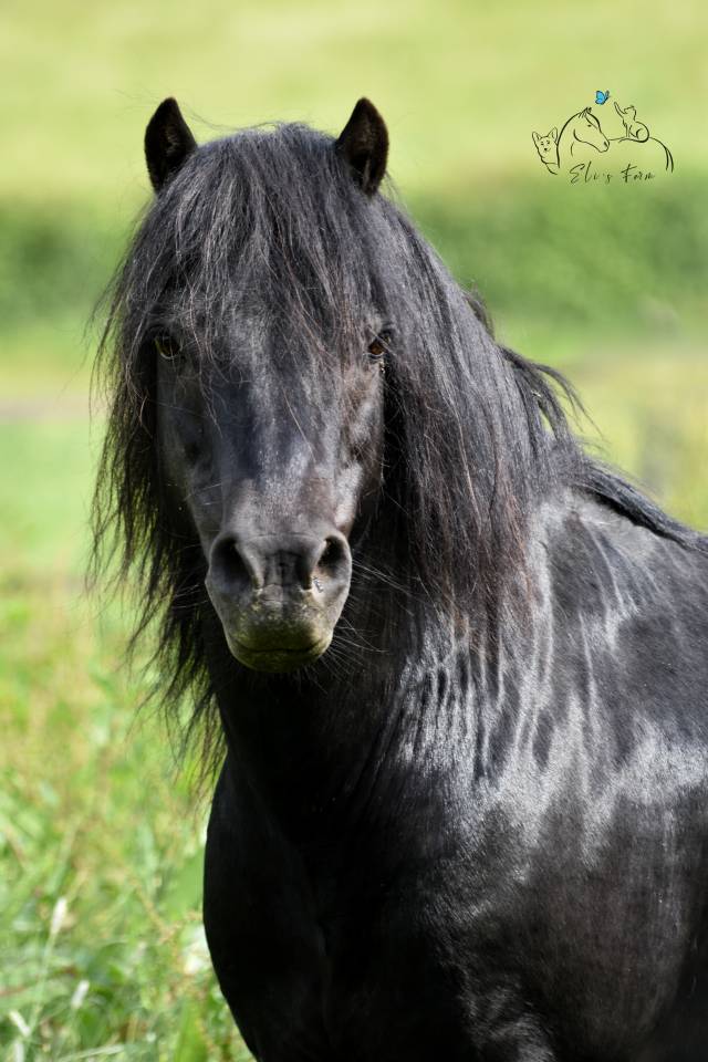 SHILSTONE ROCKS THUNDERHEAD 2 - Dartmoor 2006 ,  SR ATLANTIC GALE
