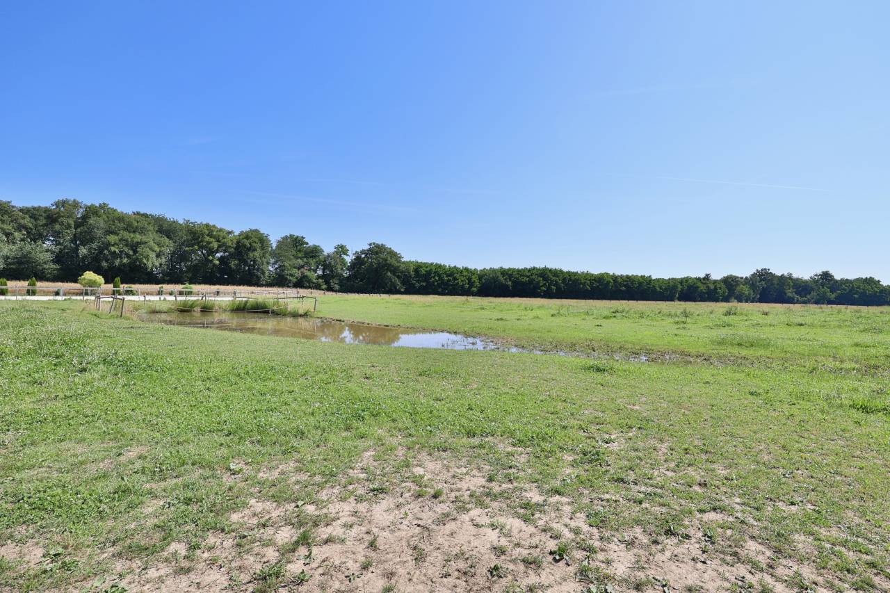 Mooi hippisch vastgoed Koop Ain