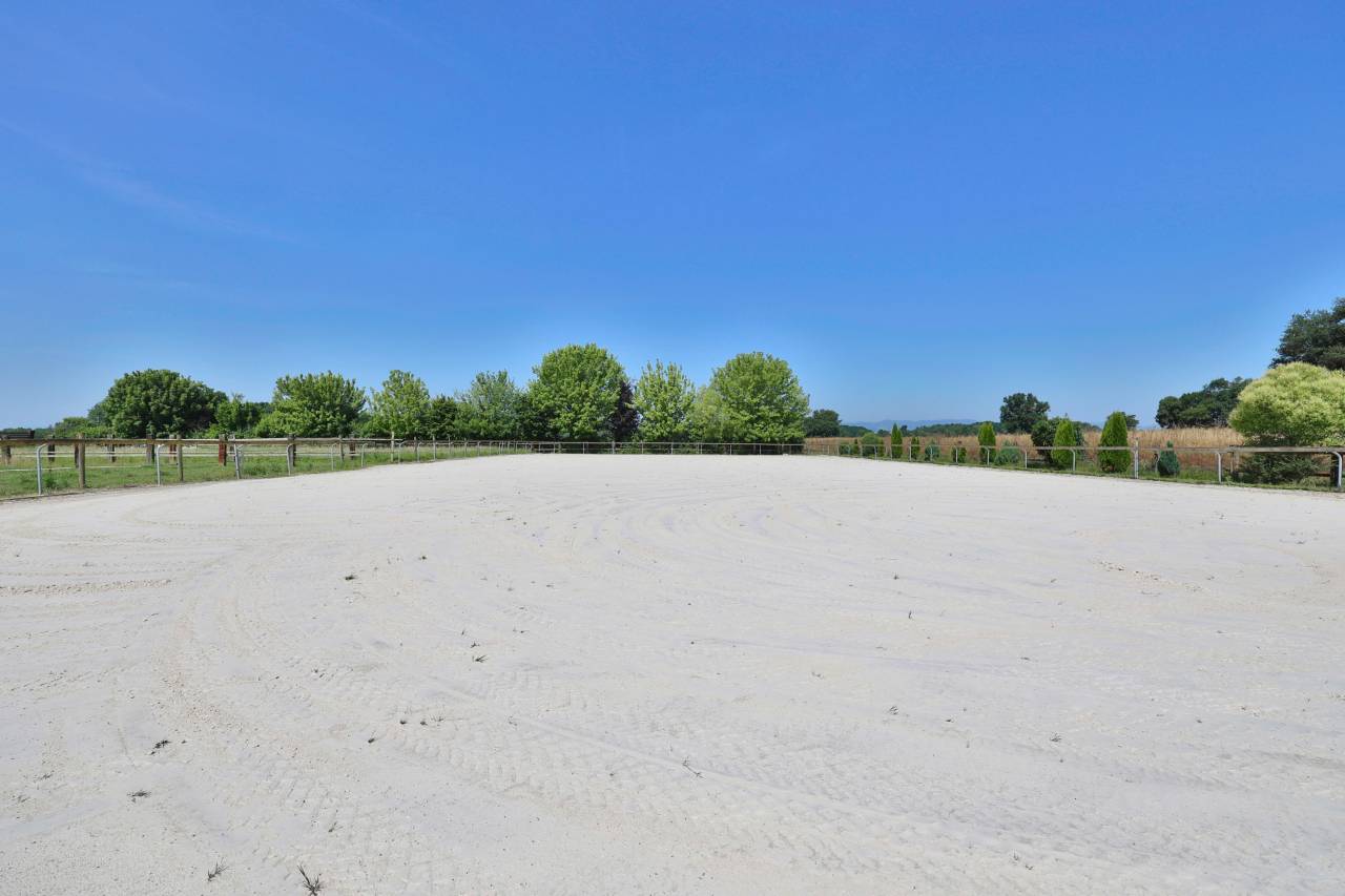 Mooi hippisch vastgoed Koop Ain