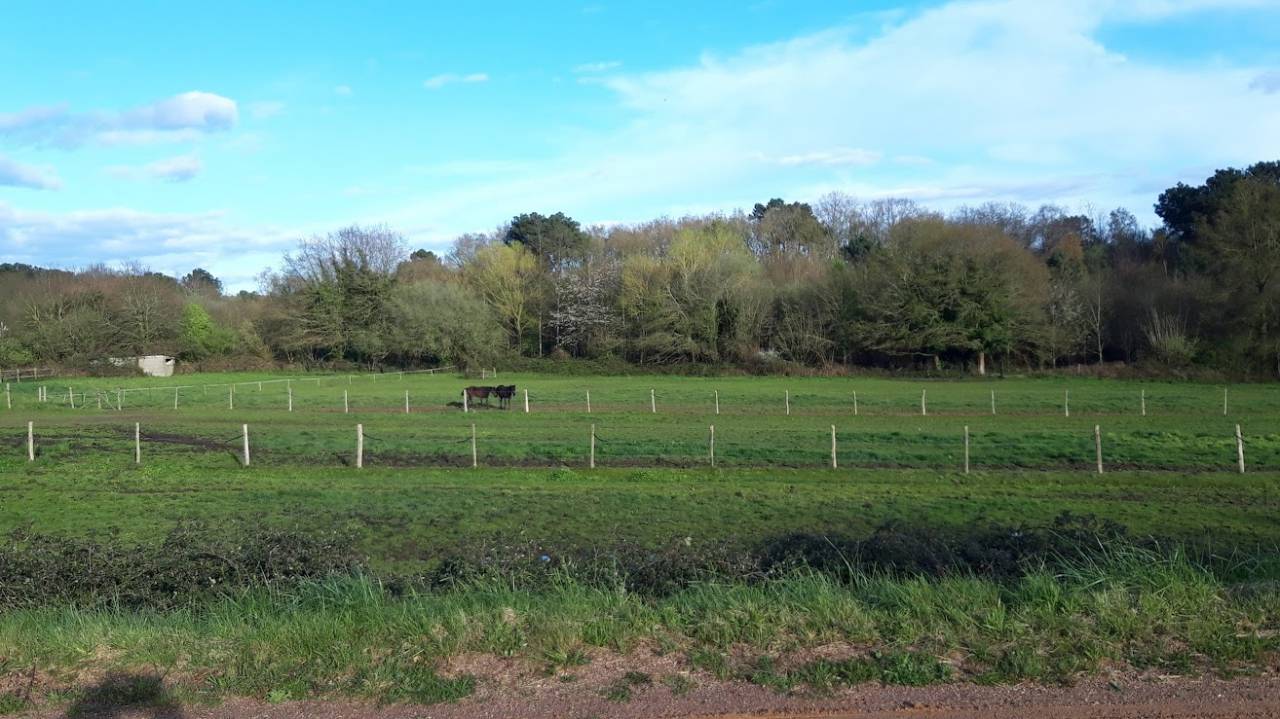 Competitie stal Koop Sarthe