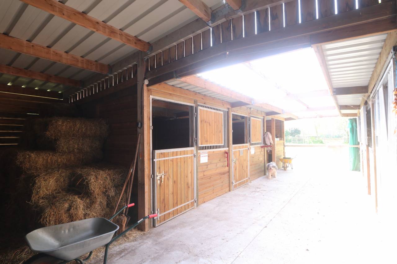 Mooi hippisch vastgoed Koop Manche