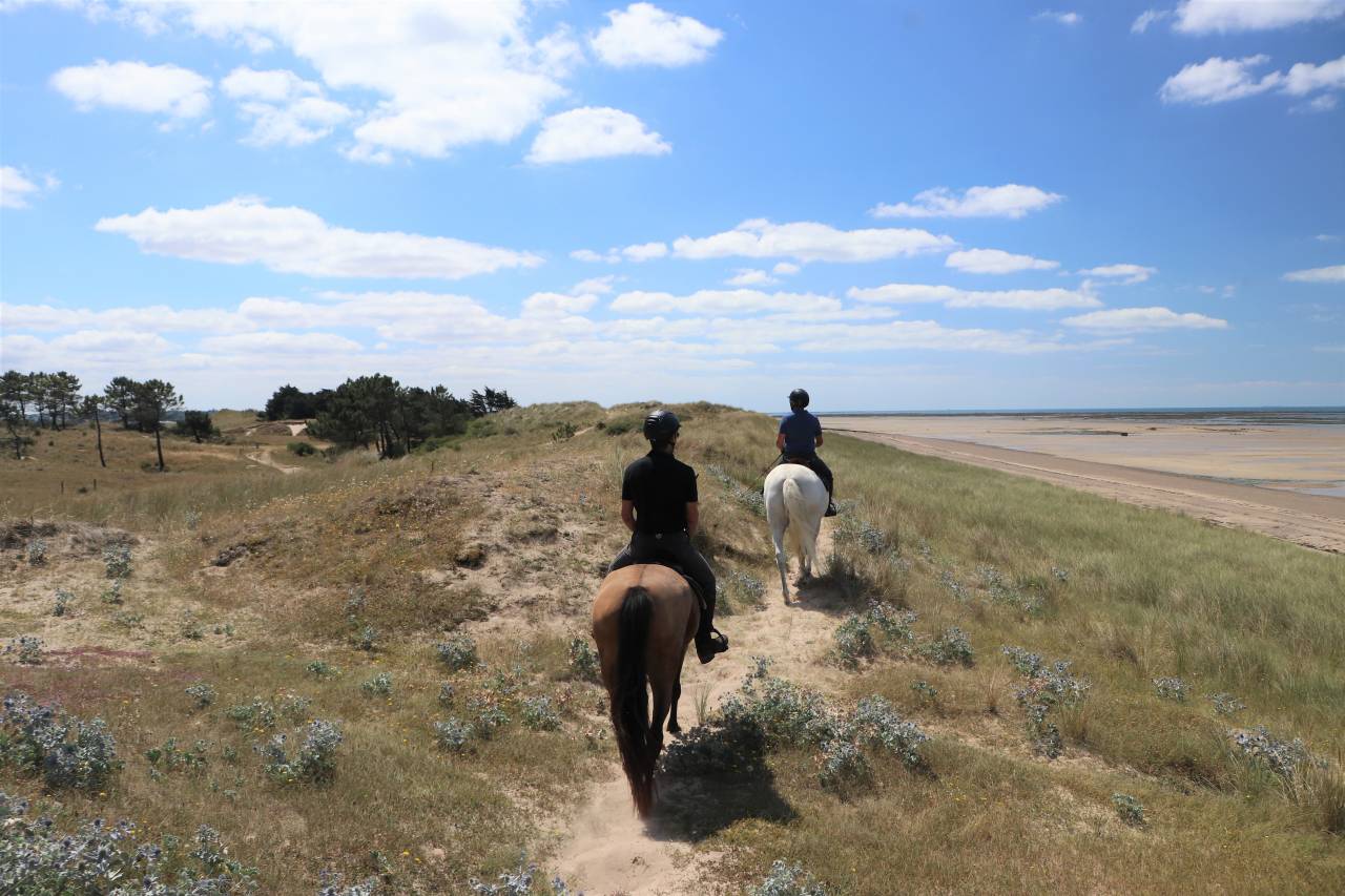 Mooi hippisch vastgoed Koop Manche