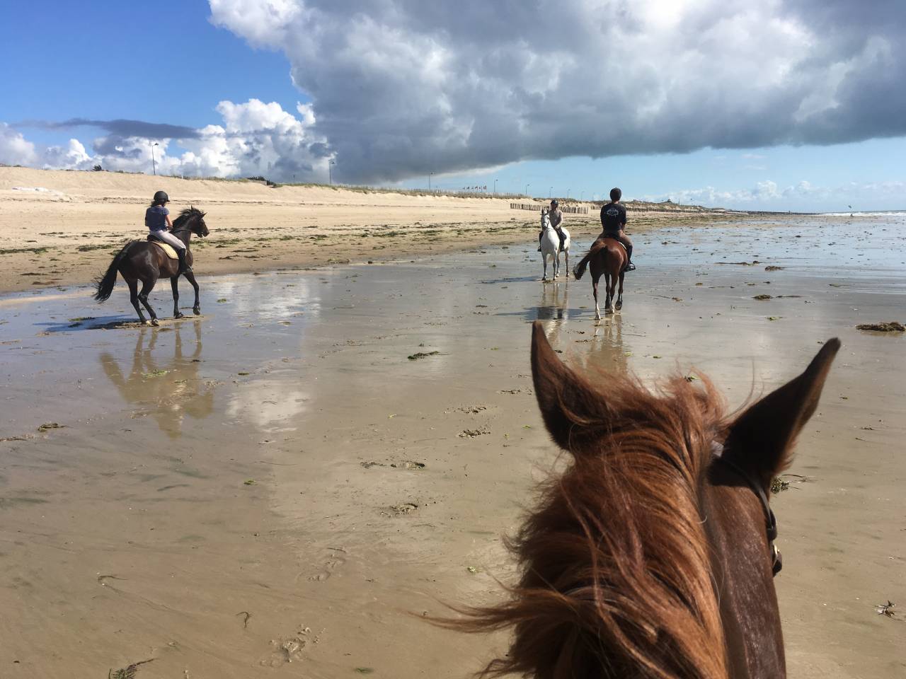 Mooi hippisch vastgoed Koop Manche
