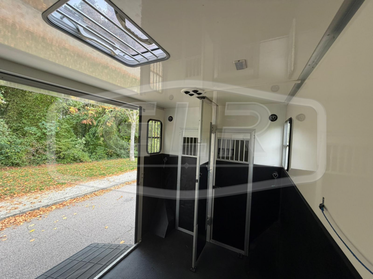 Kleine paardenvrachtwagen (B rijbewijs) ACR Renault Master 2023 Tweedehands