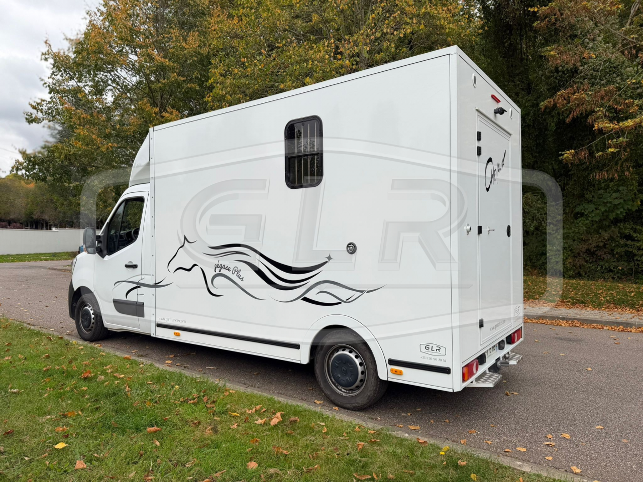 Kleine paardenvrachtwagen (B rijbewijs) ACR Renault Master 2023 Tweedehands
