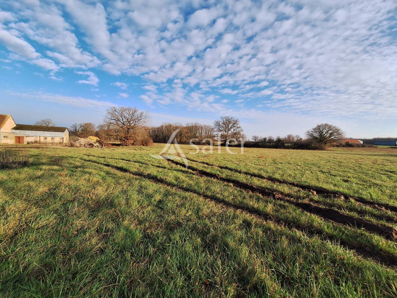 Landbouw bedrijf Koop Indre