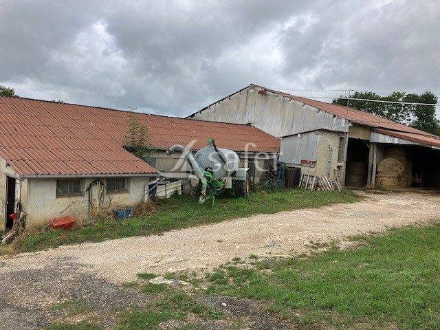 Graan exploitatie Koop Jura