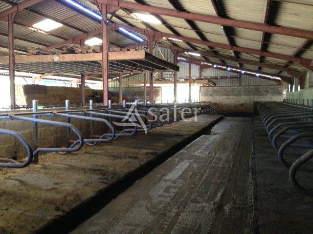 Graan exploitatie Koop Jura