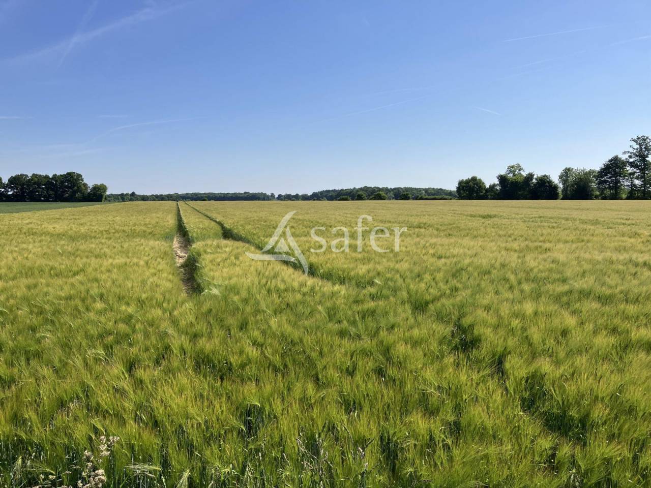 Ander plattelands vastgoed Koop Eure-et-Loir