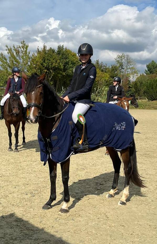 Merrie Volbloed Te koop 2020 Donker bruin / bai