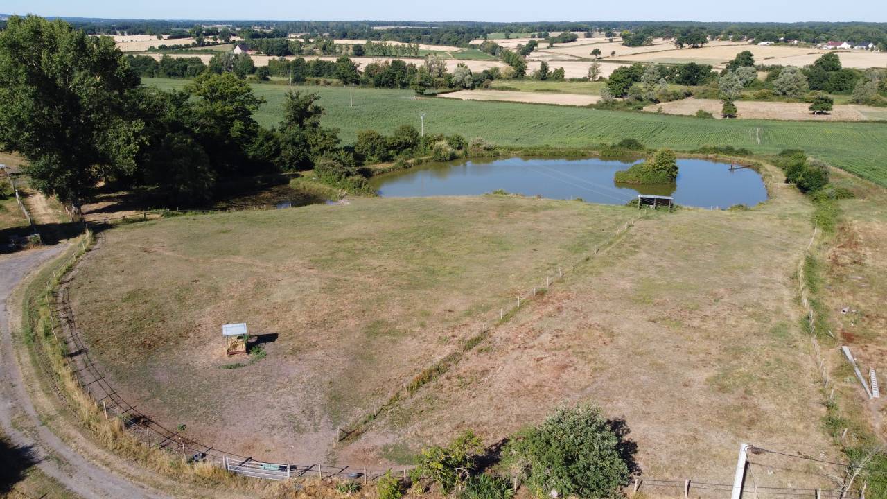 Paarden boerderij Koop Cher
