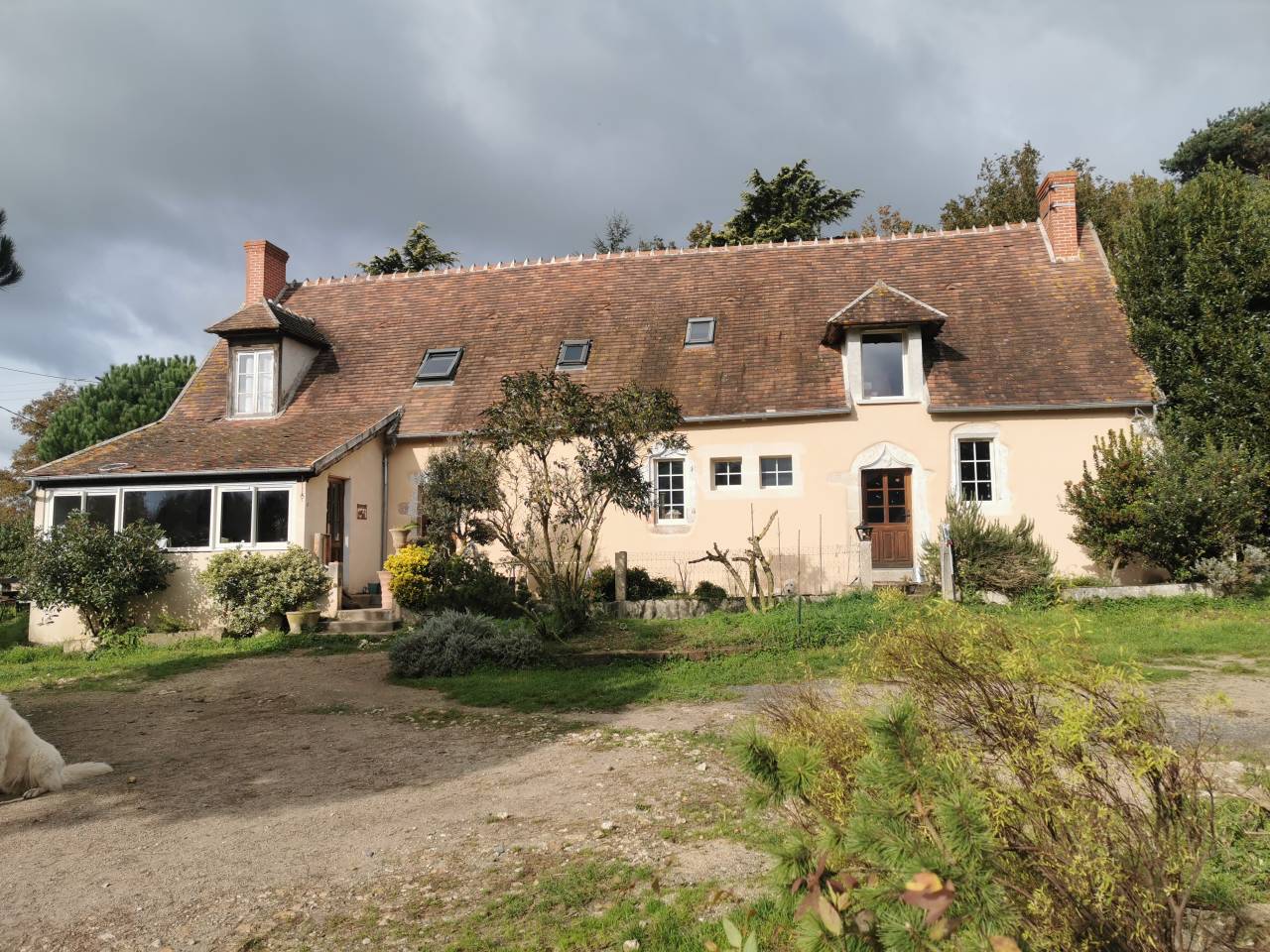 Paarden boerderij Koop Cher