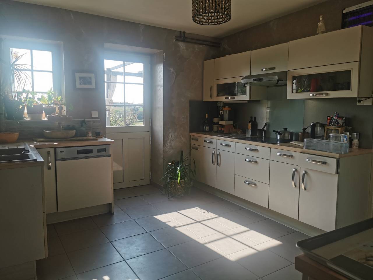 Paarden boerderij Koop Cher