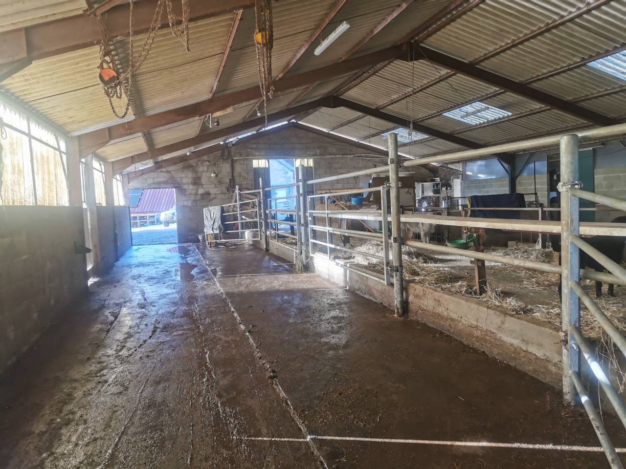 Paarden boerderij Koop Cher