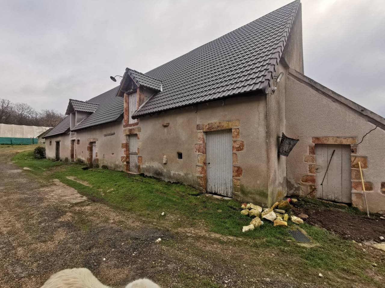 Paarden boerderij Koop Cher