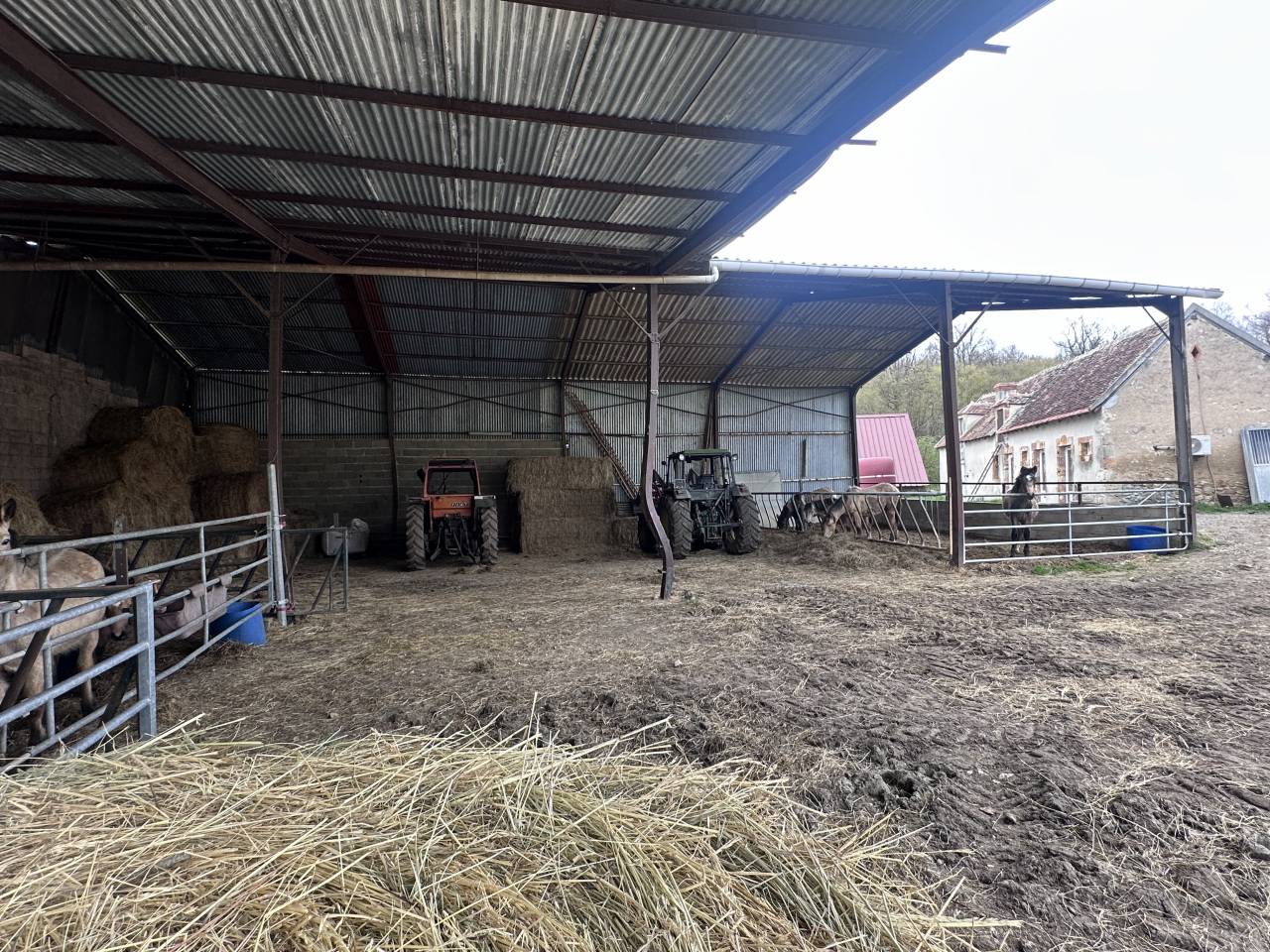 Paarden boerderij Koop Cher