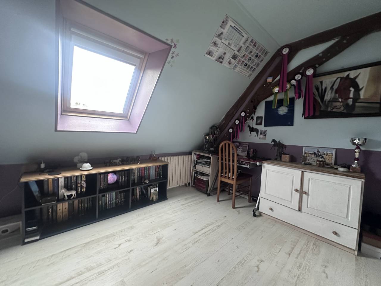 Paarden boerderij Koop Cher