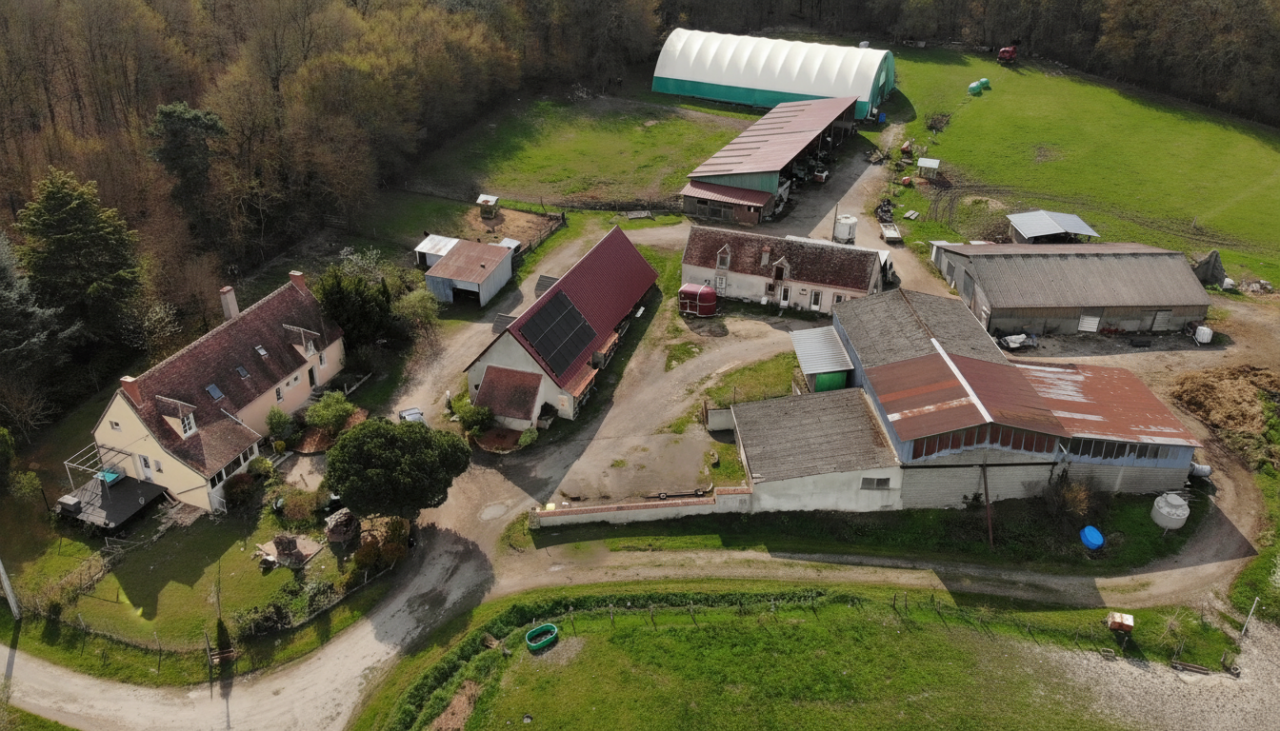Paarden boerderij Koop Cher