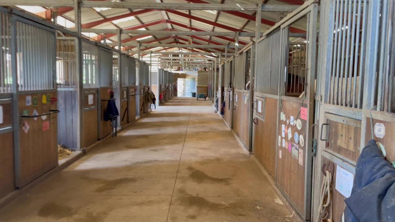 Hippisch vastgoed Koop Dordogne