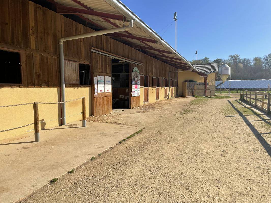 Hippisch vastgoed Koop Dordogne