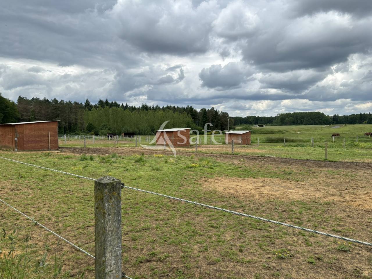 Hippisch vastgoed Koop Sarthe