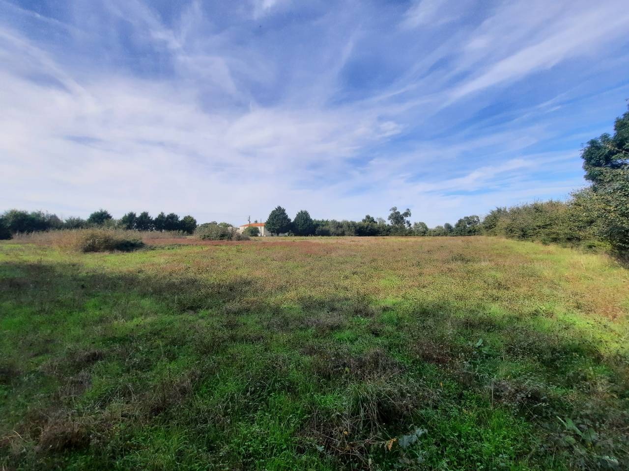Mooi hippisch vastgoed Koop Charente-Maritime