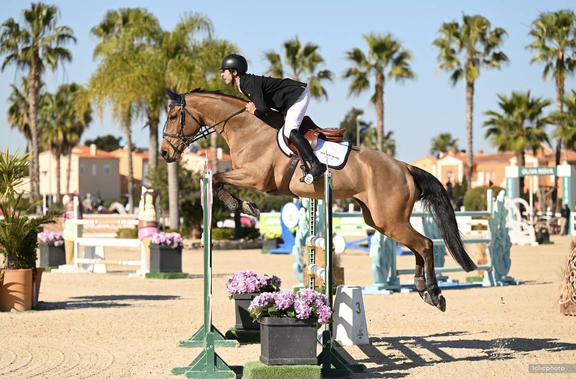 Merrie Selle Français Te koop 2012 Donker bruin / bai ,  EPSOM GESMERAY