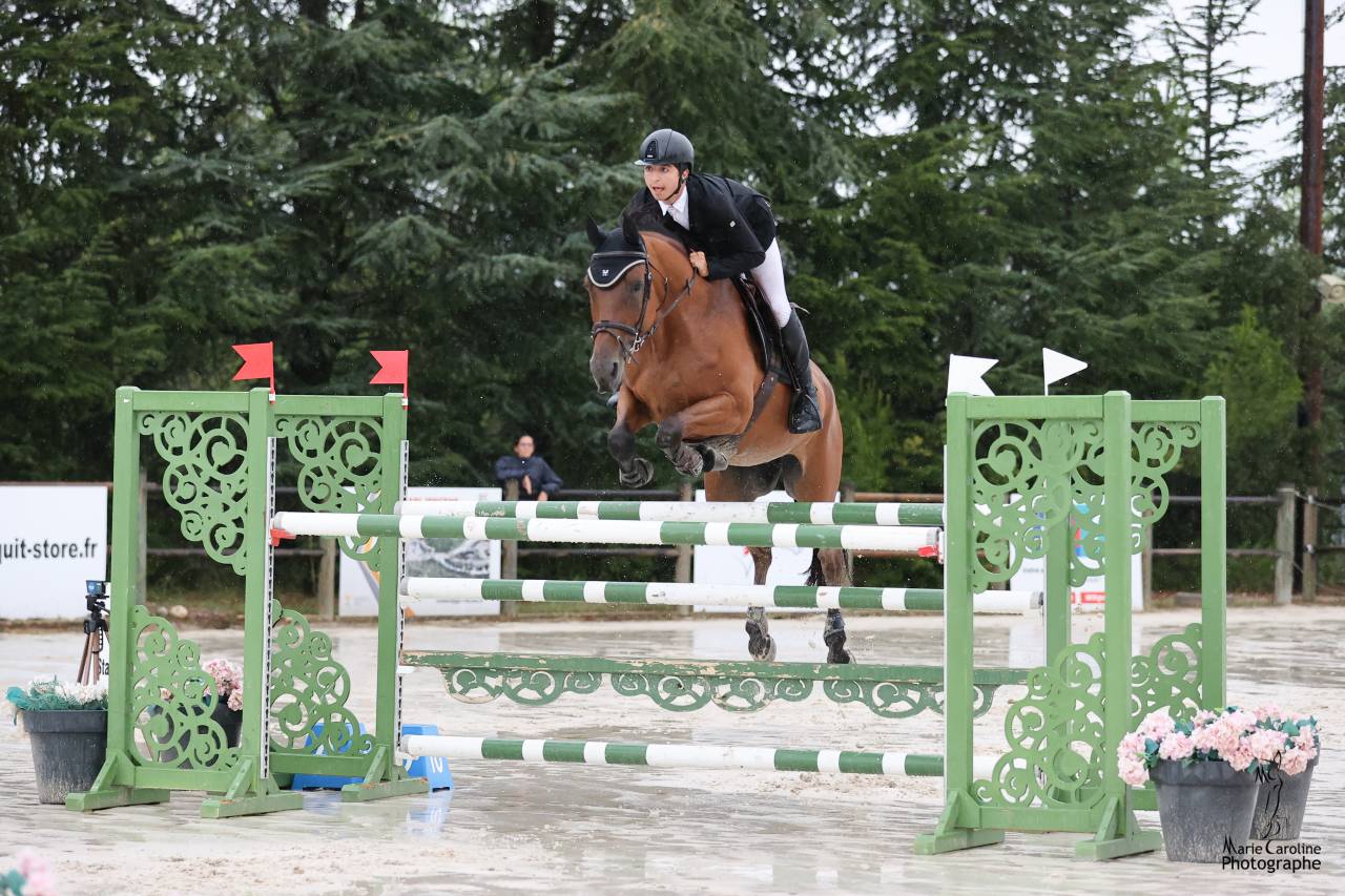 Merrie Selle Français Te koop 2012 Donker bruin / bai ,  EPSOM GESMERAY