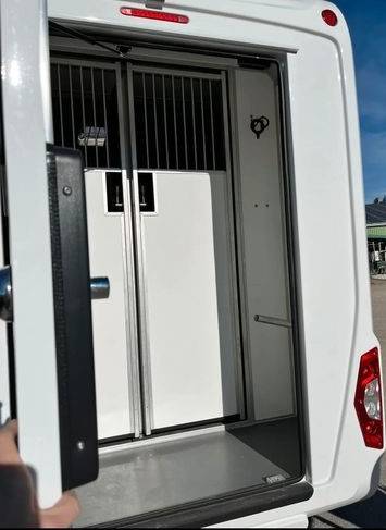 Kleine paardenvrachtwagen (B rijbewijs) STX STX double cabine 2022 Tweedehands