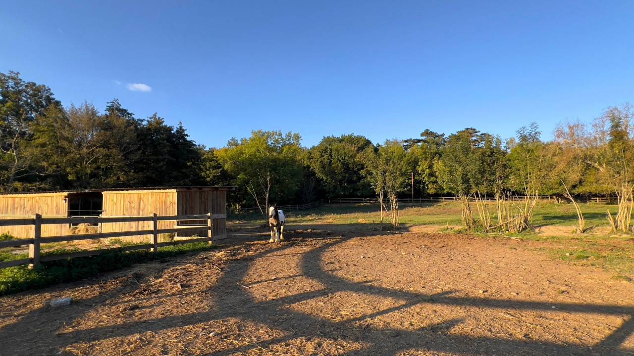 Mooi hippisch vastgoed Koop Haute-Garonne