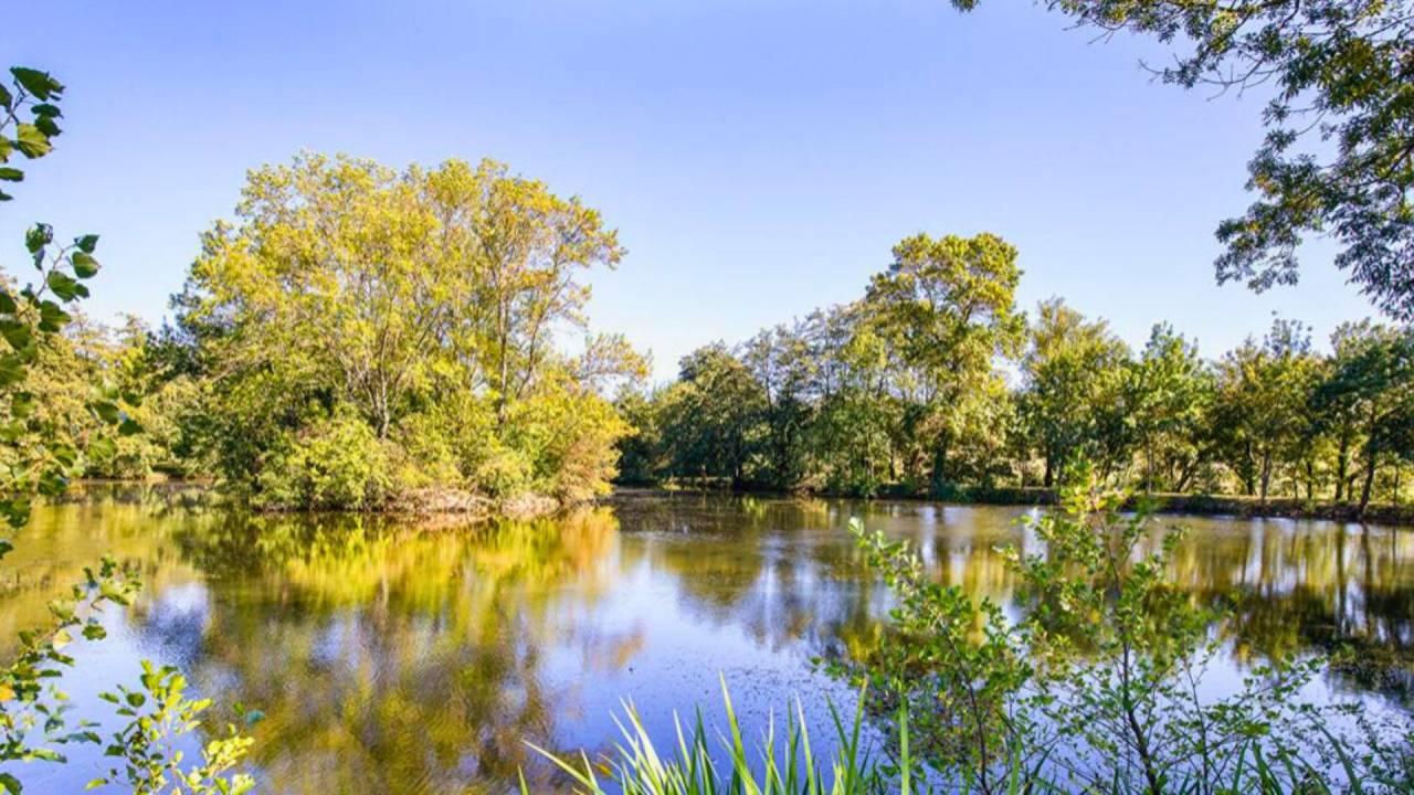 Mooi hippisch vastgoed Koop Haute-Garonne
